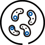 icon_02