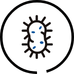 icon_06